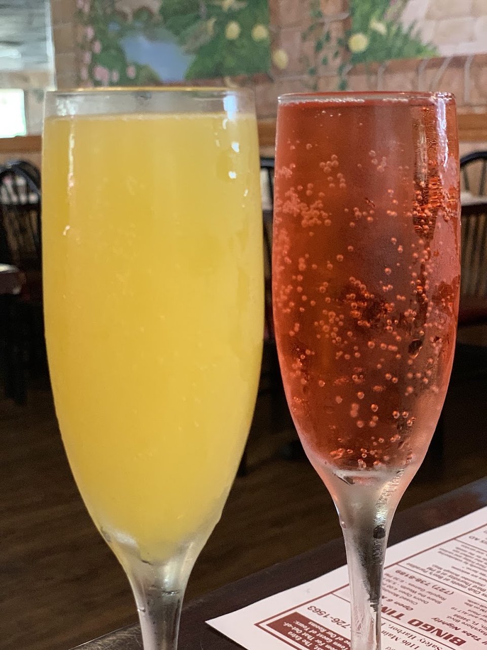 Mimosa